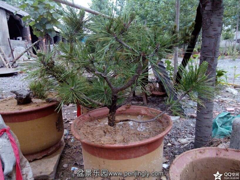 QQͼƬ20140614111442.jpg