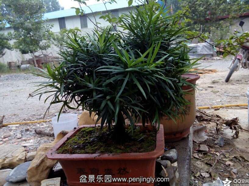 QQͼƬ20140614111418.jpg