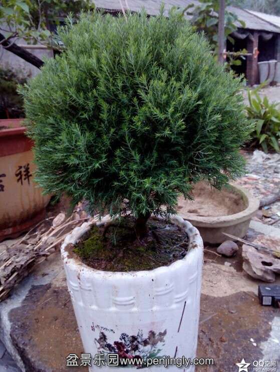QQͼƬ20140614111357.jpg
