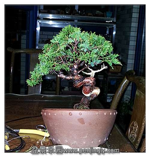 20140615_024621_.jpg
