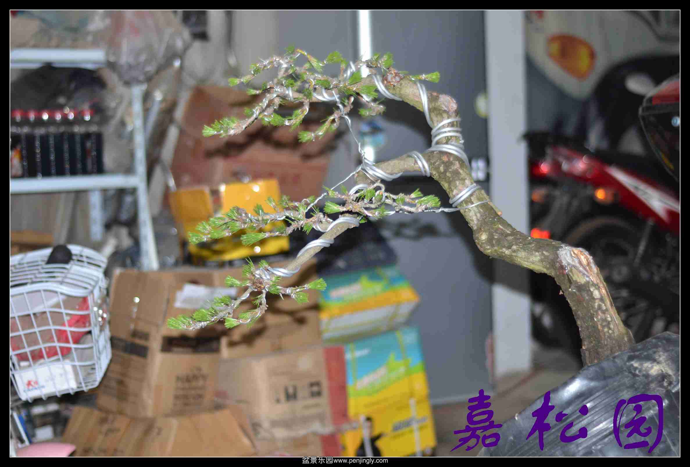 ���� 005.JPG