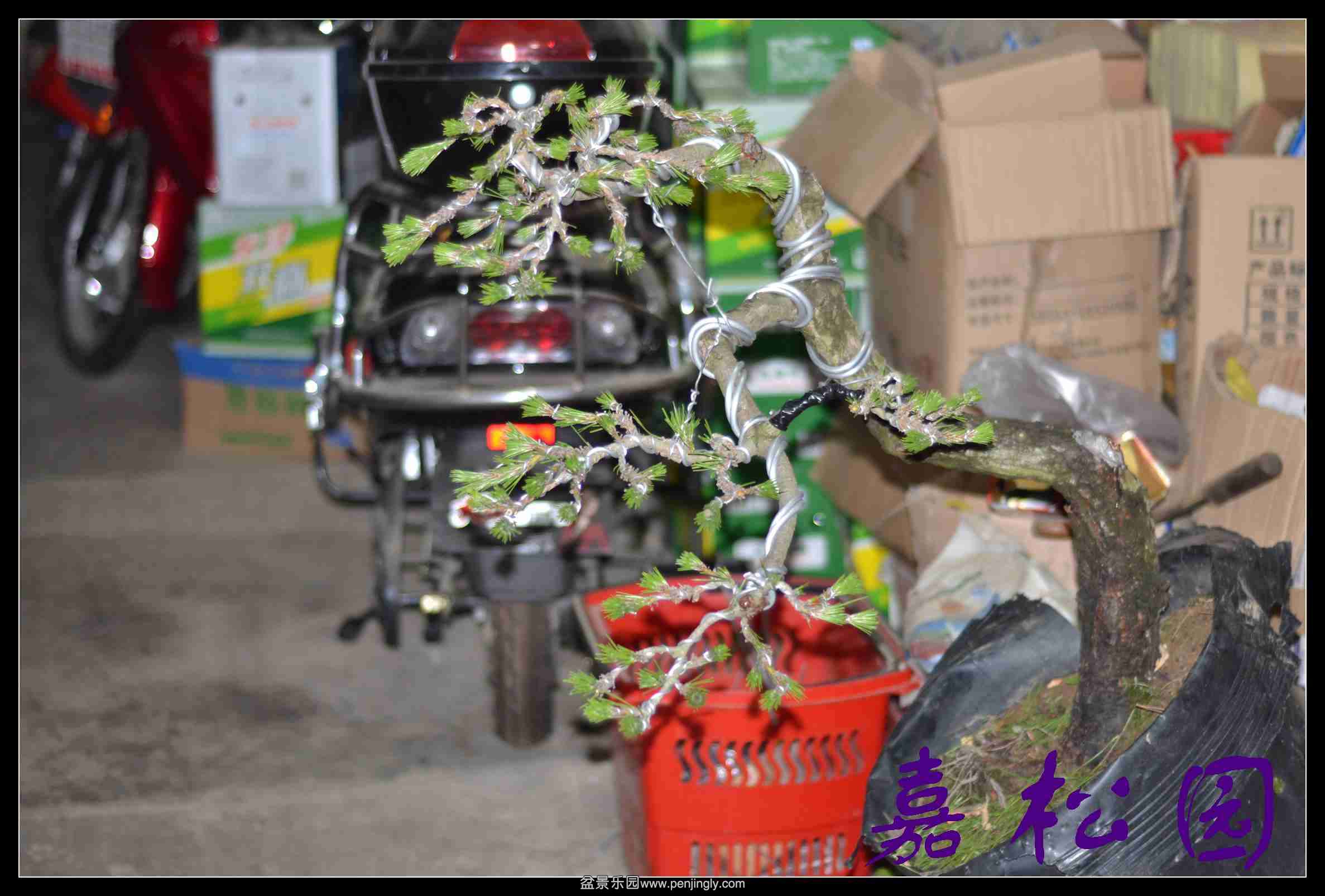 ���� 007.JPG