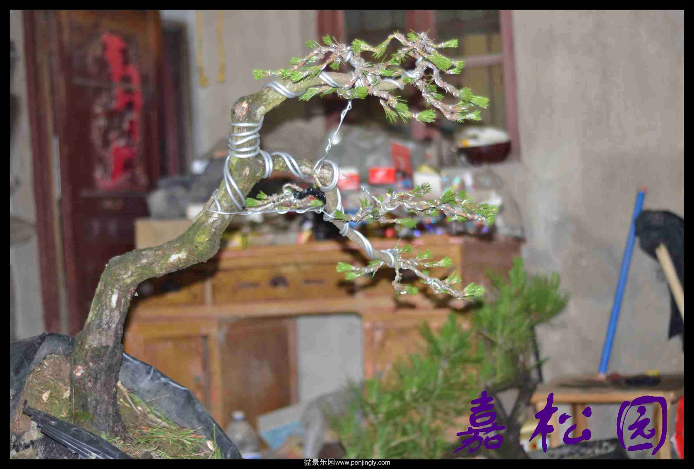 ���� 013.JPG