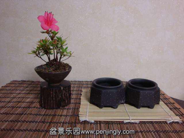 DSC08342.JPG