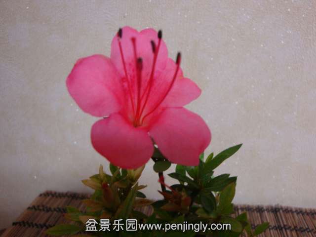 DSC08343.JPG