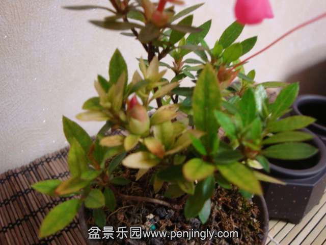 DSC08344.JPG