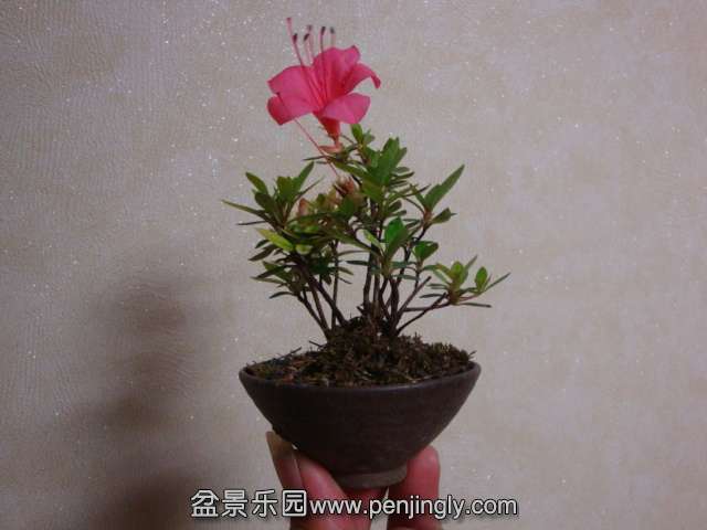 DSC08345.JPG