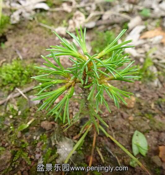 ����ʱ�䣺2014��6��