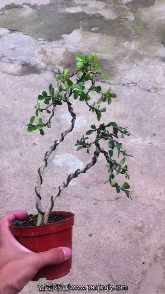 QQͼƬ20140620125451.jpg