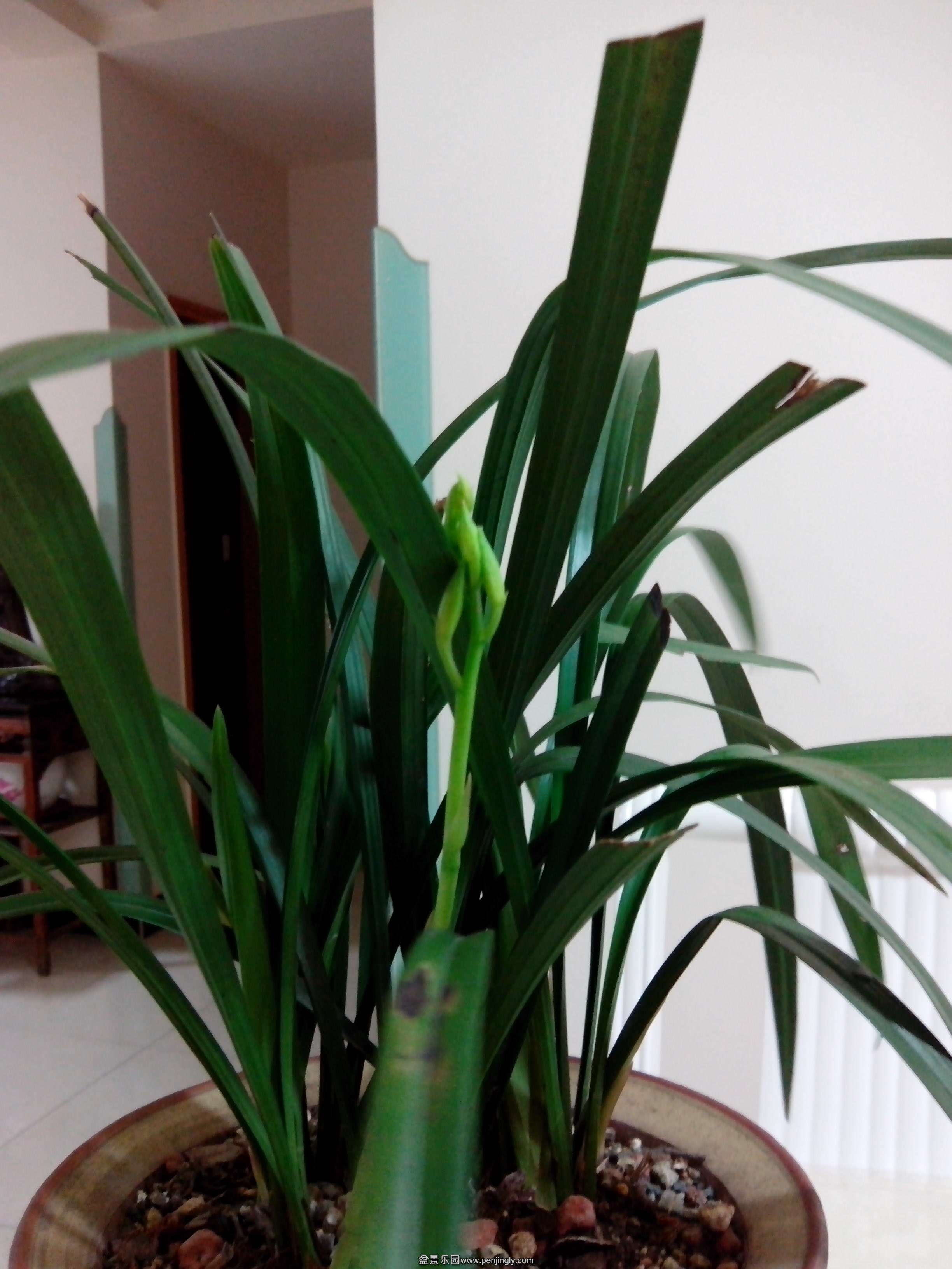 IMG_20140620_223510.jpg