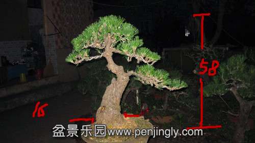 IMG_7562_.jpg