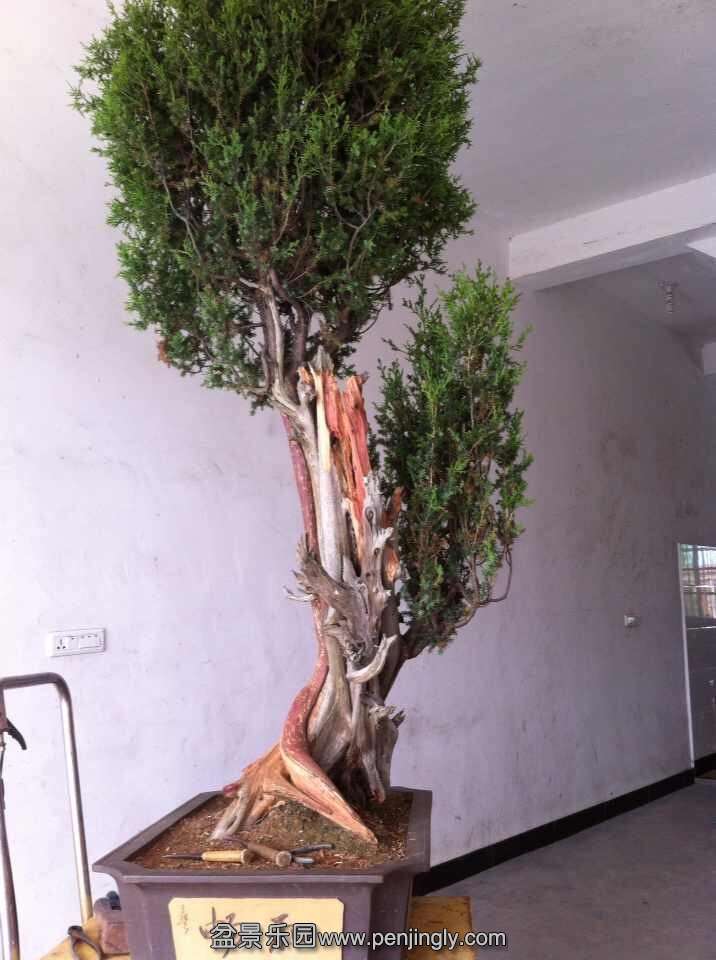 QQͼƬ20140624132509.jpg