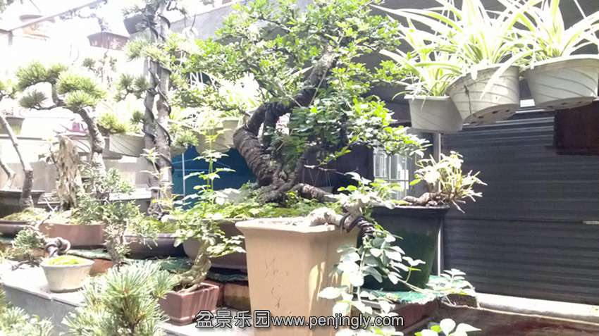 Ƭ 009.jpg