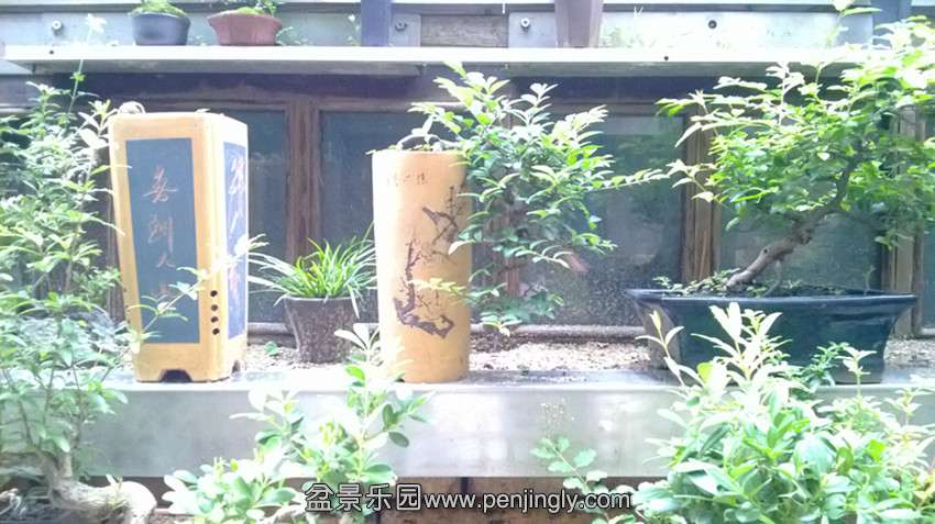 Ƭ 010.jpg
