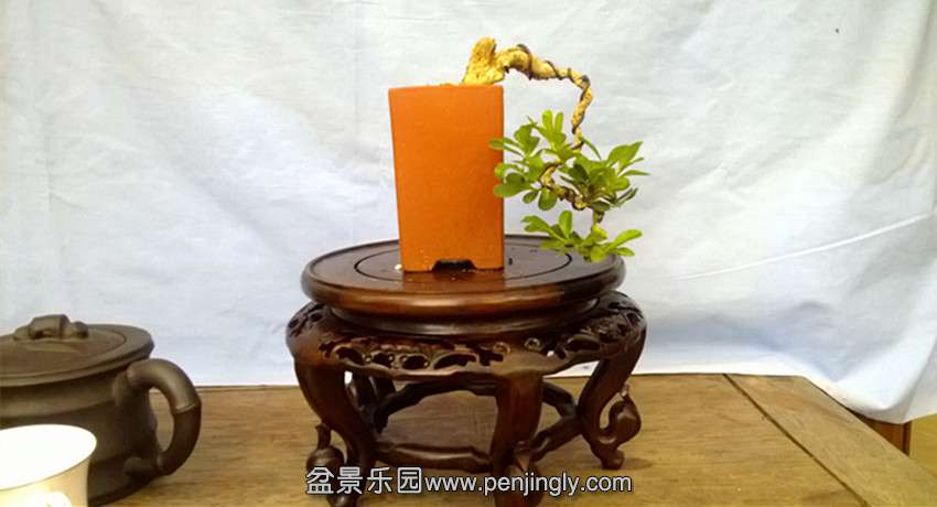 Ƭ 011.jpg