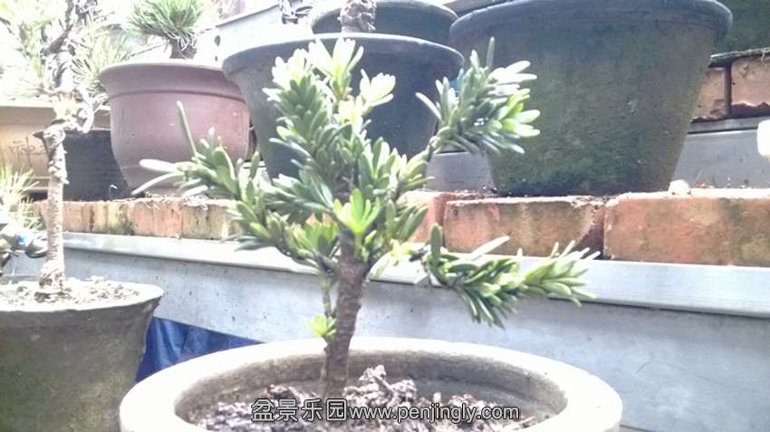 Ƭ 012.jpg