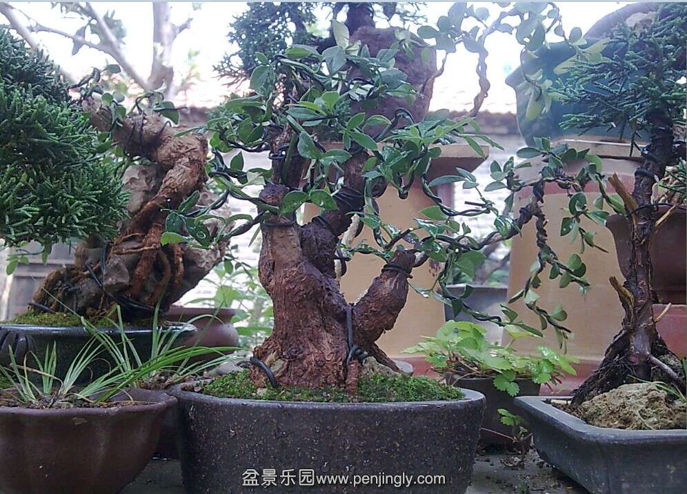 QQͼƬ20140624143427.jpg