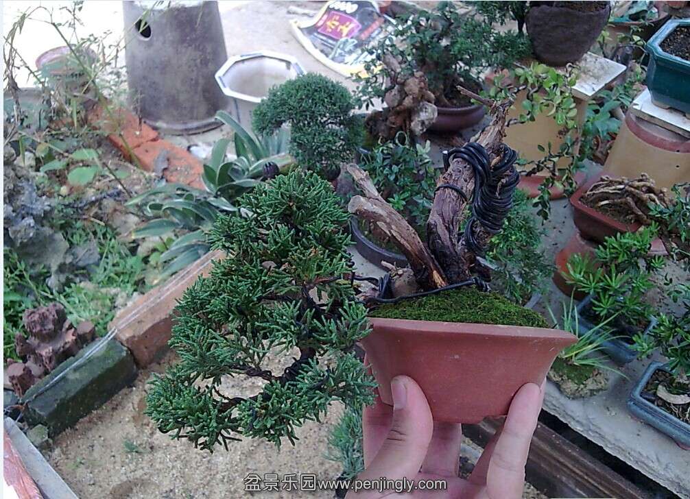 QQͼƬ20140624143437.jpg
