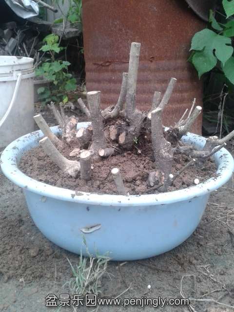 20140623_143850.jpg