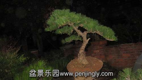 IMG_7570_.jpg