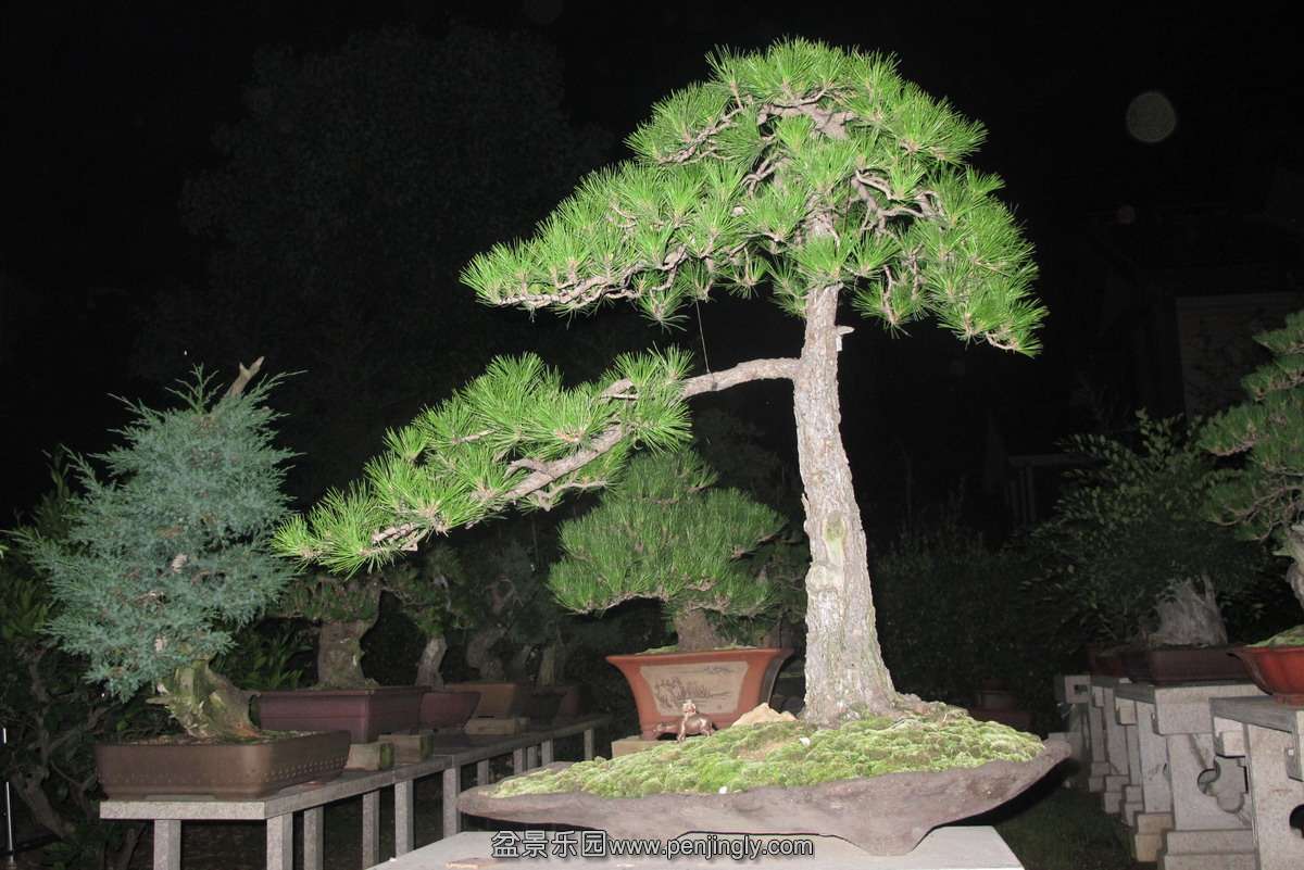 IMG_9200.JPG