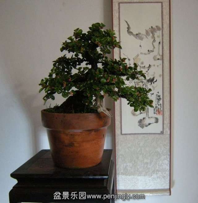 psb (1).jpg