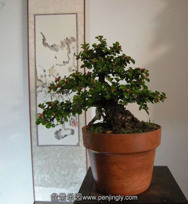 psb (3).jpg