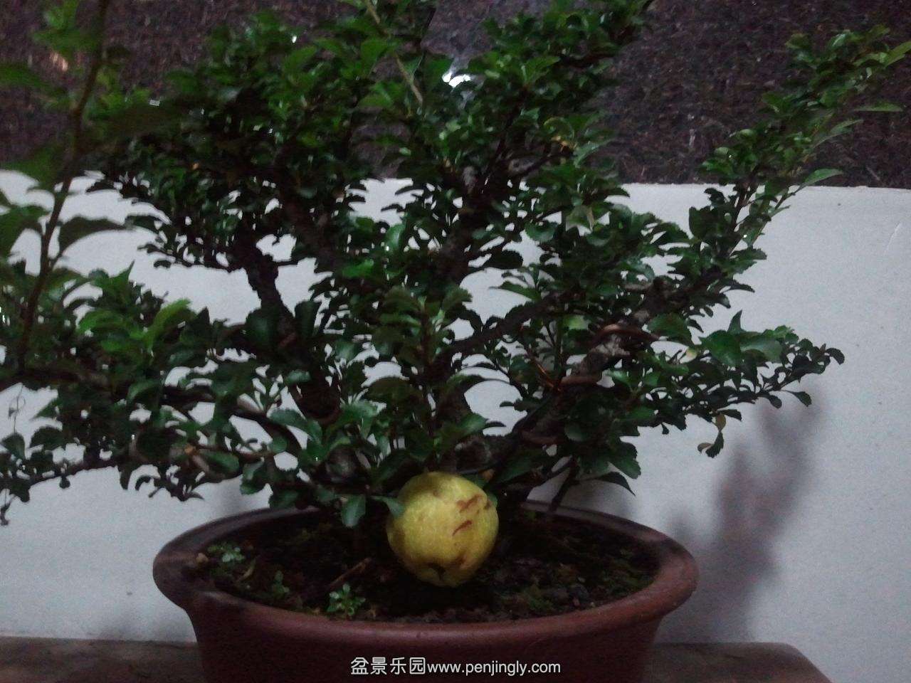 2014-06-25 19.56.15.jpg