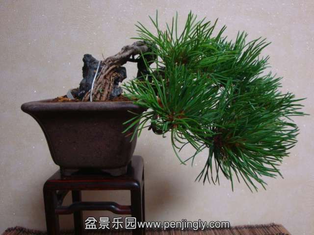 DSC08490.JPG