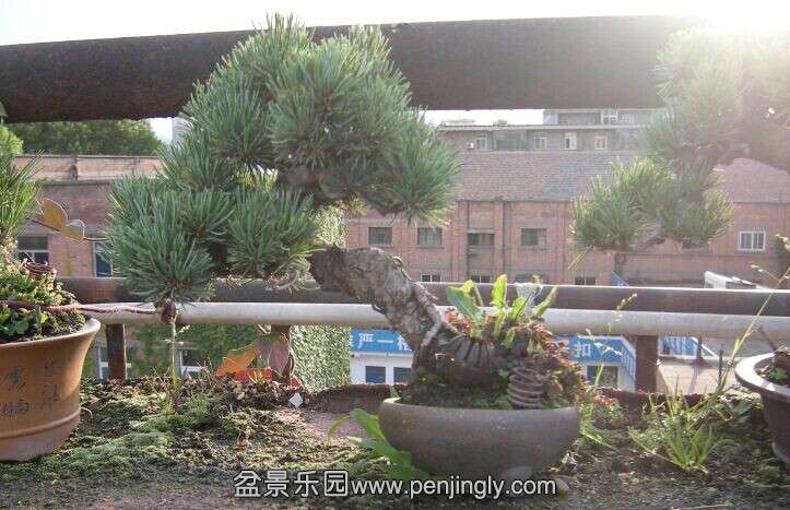 QQͼƬ20140705054251.jpg