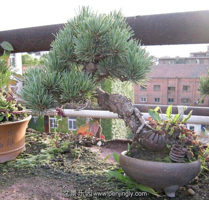 QQͼƬ20140705054307.jpg