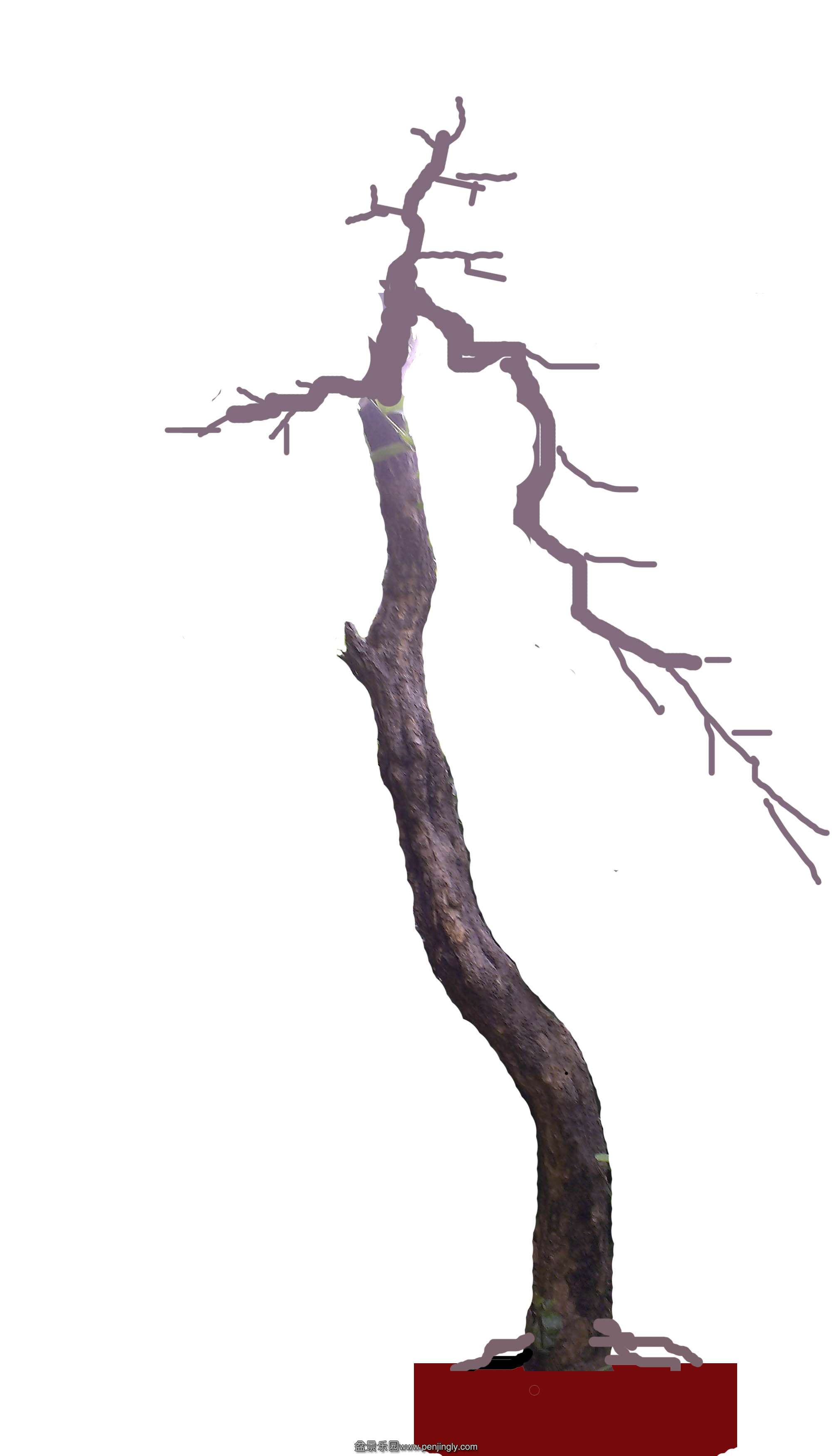 IMAG0345-2ͷ.jpg