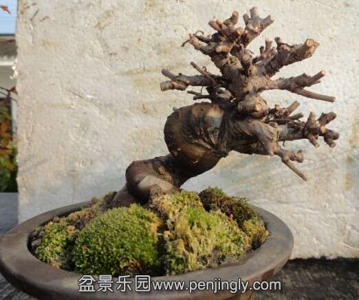QQͼƬ20140705194448.jpg