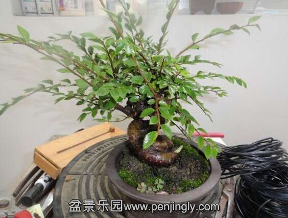 QQͼƬ20140705194520.jpg