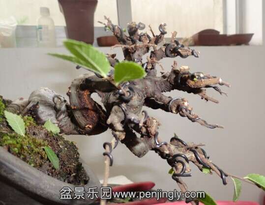 QQͼƬ20140705194735.jpg