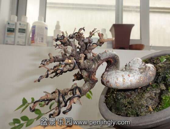QQͼƬ20140705194721.jpg