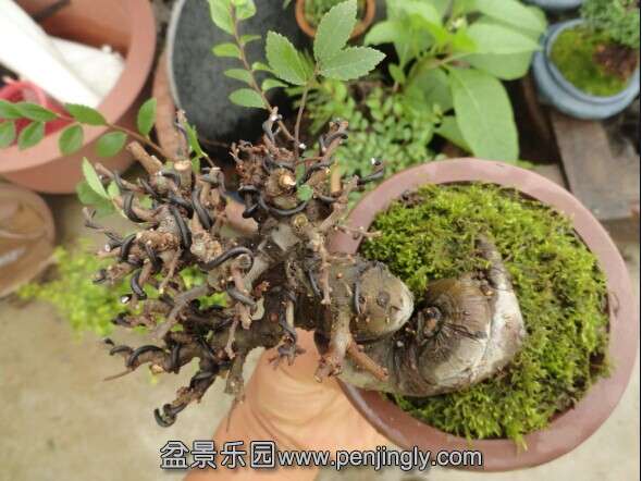 QQͼƬ20140705194904.jpg