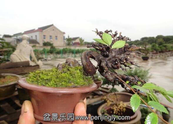 QQͼƬ20140705194851.jpg