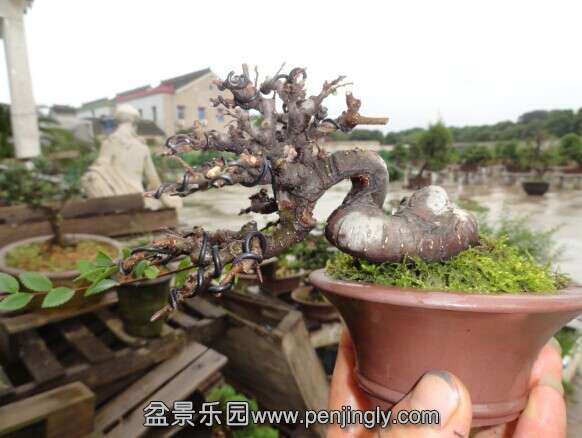 QQͼƬ20140705194859.jpg