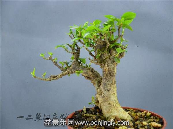QQͼƬ20140708082451.jpg