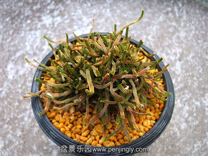 20121002_cd1f2e.jpg