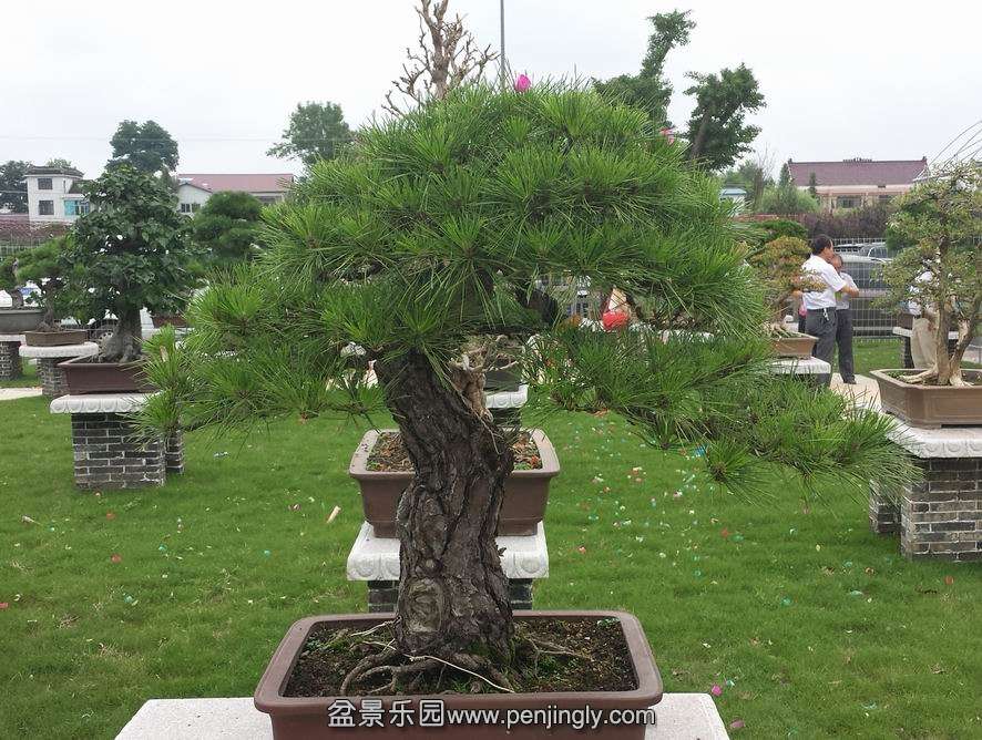 20140707_115907.jpg