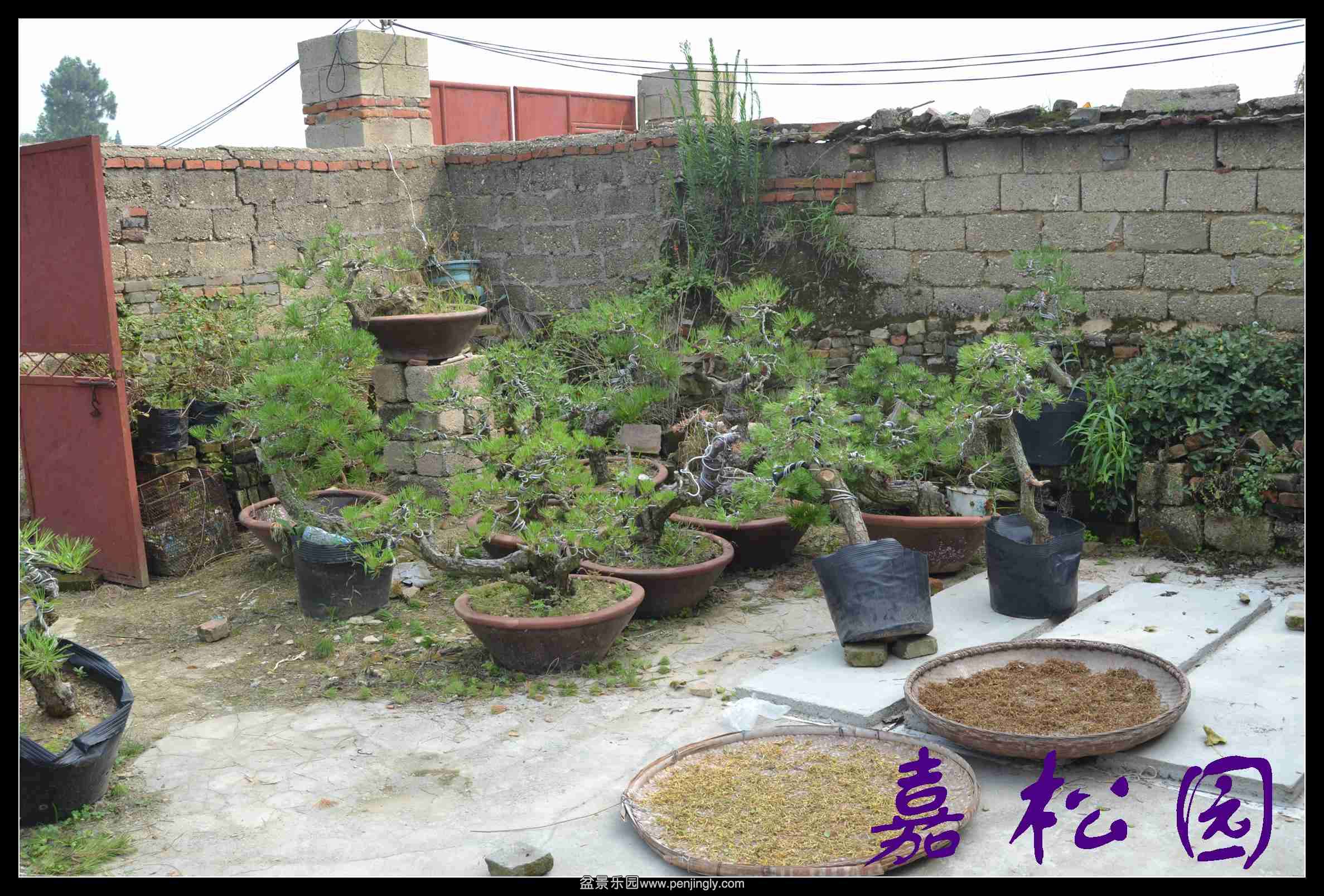 ���� 001.JPG