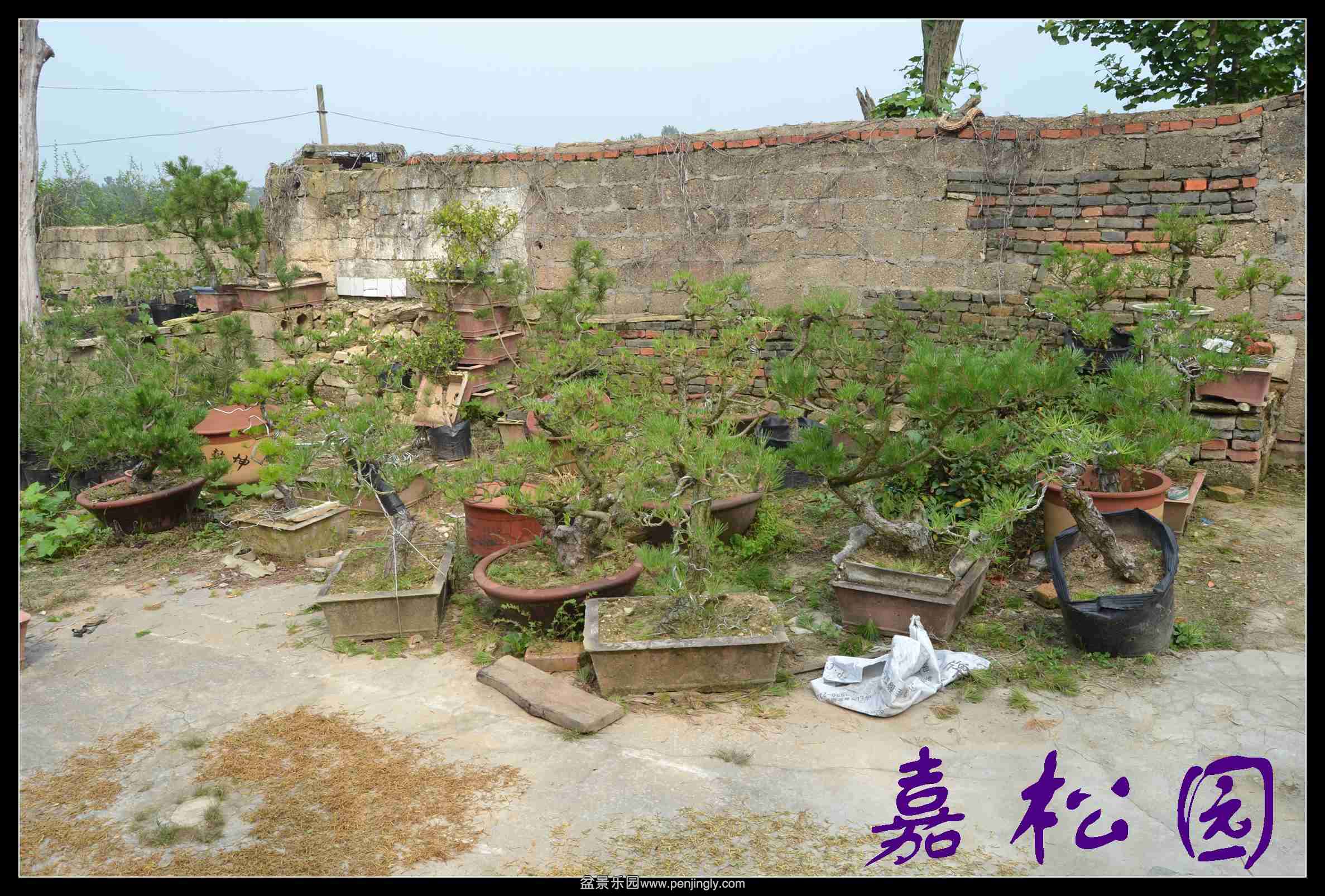 ���� 002.JPG