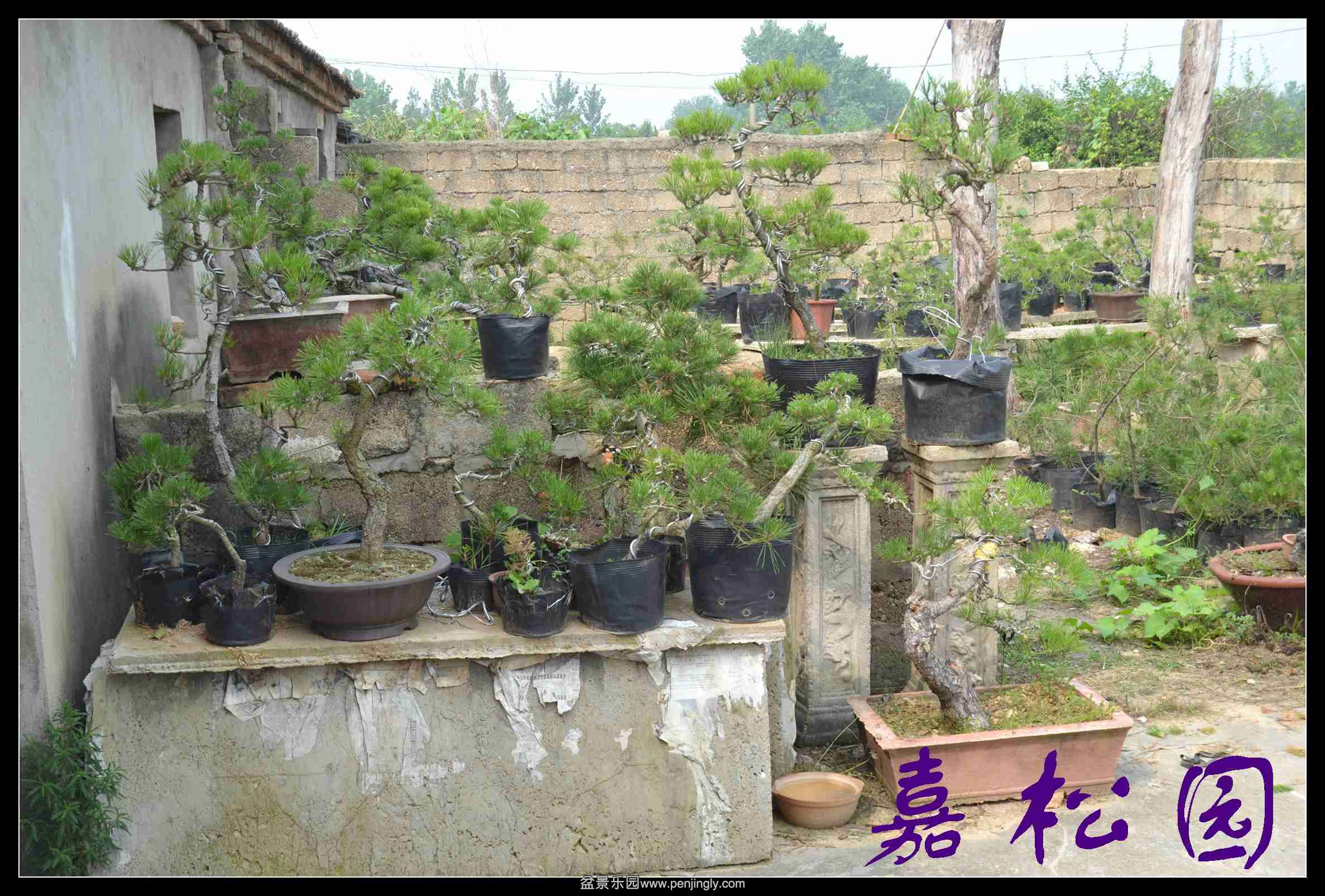 ���� 003.JPG