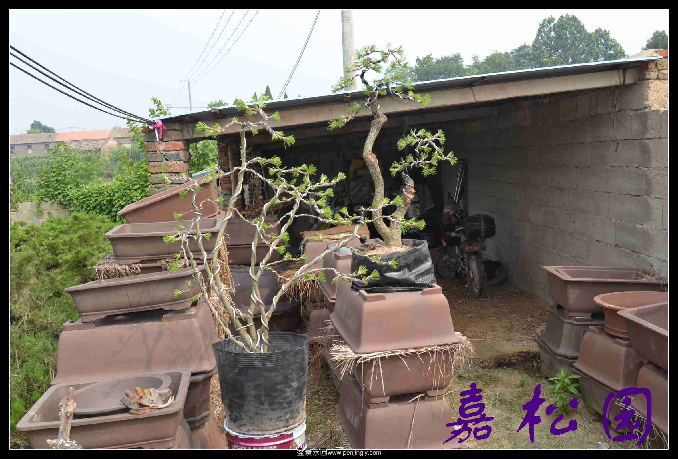 ���� 004.JPG