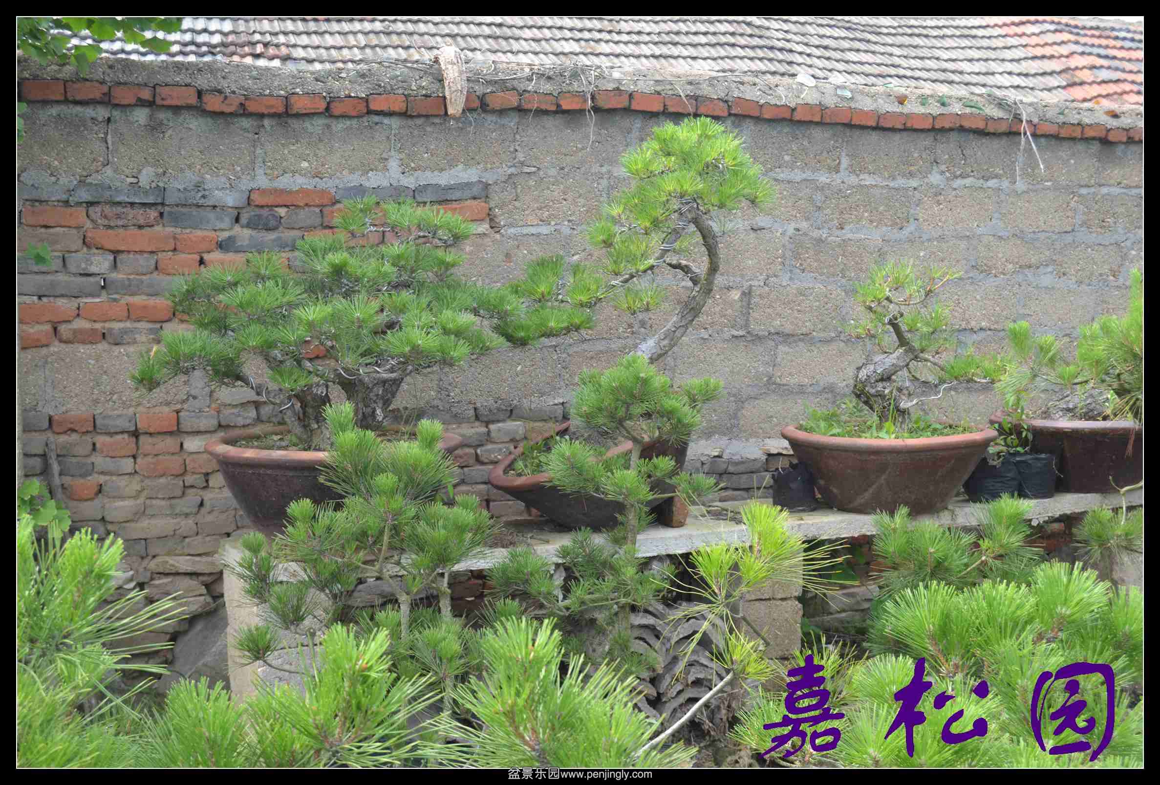 ���� 005.JPG