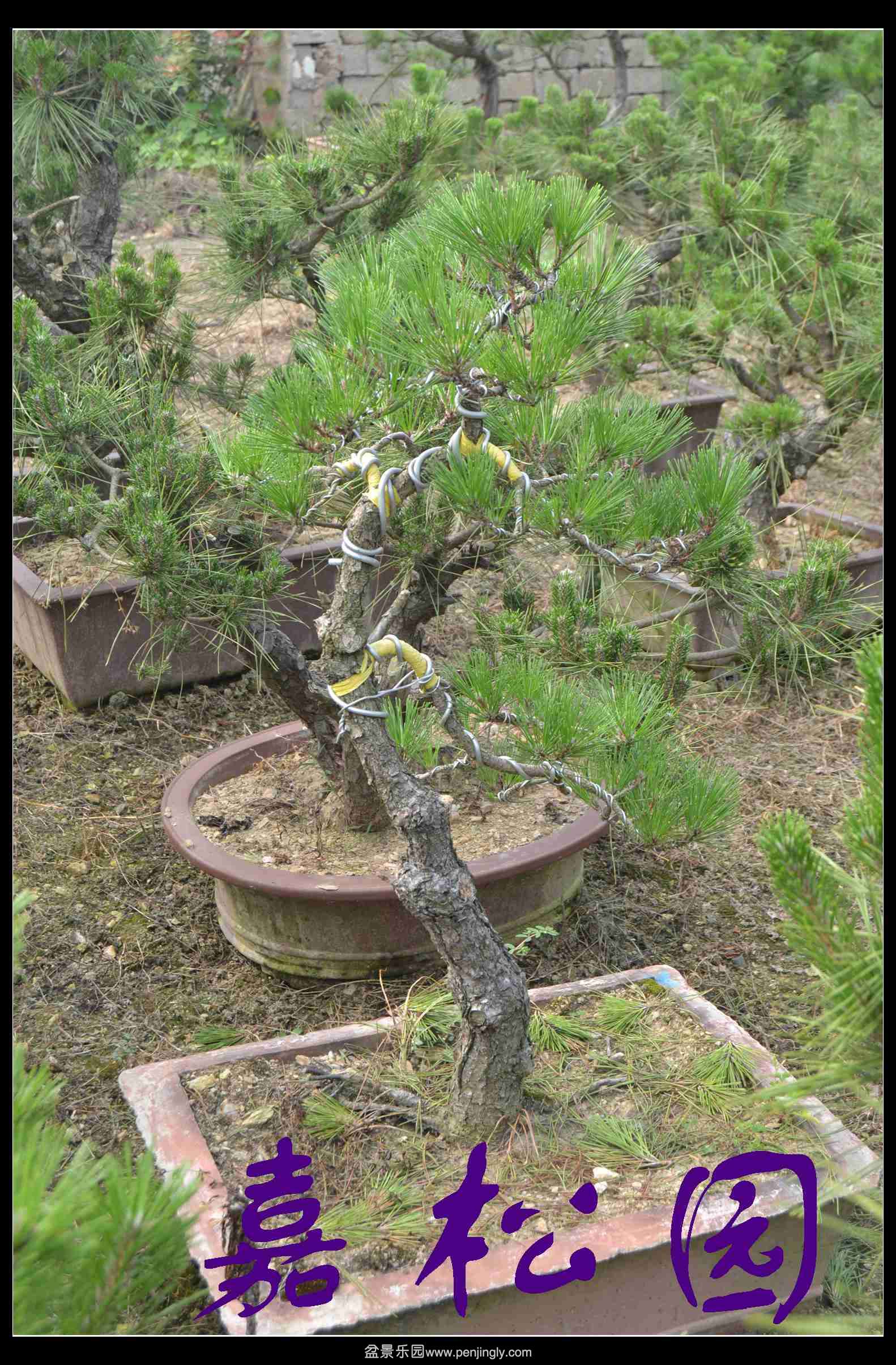 ���� 008.JPG