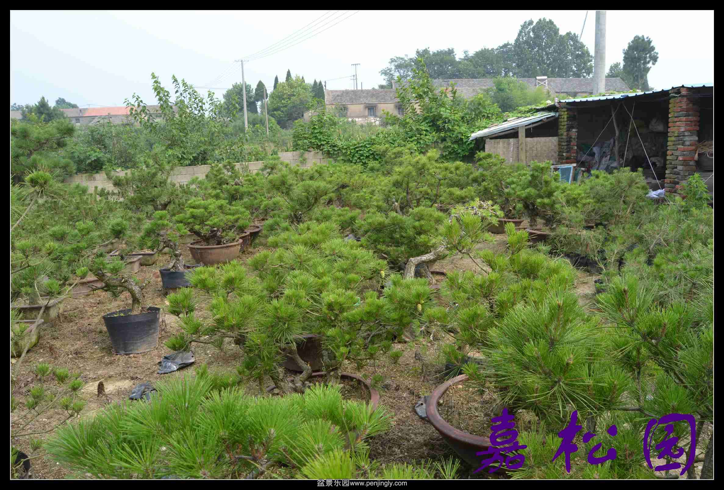 ���� 011.JPG