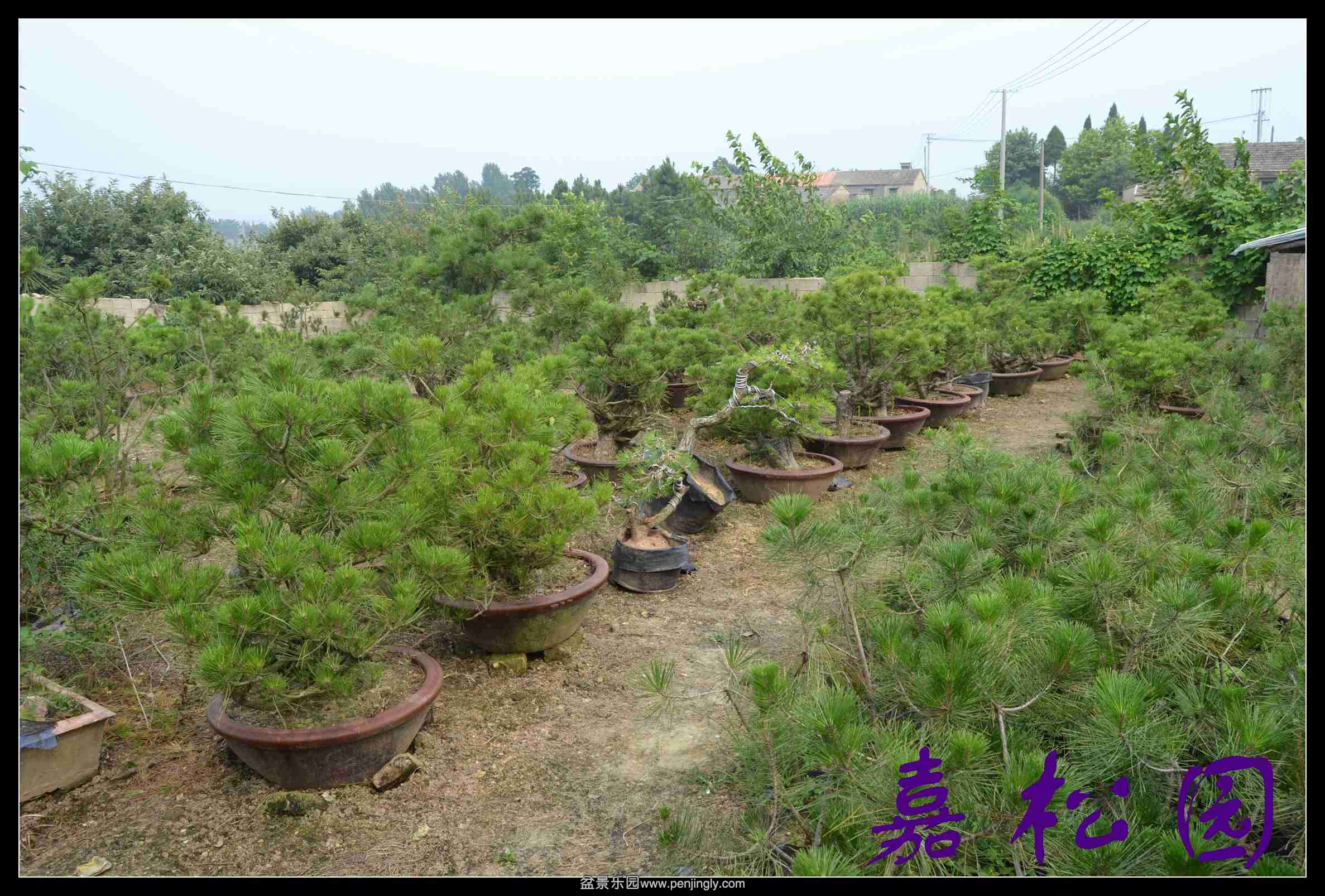 ���� 012.JPG